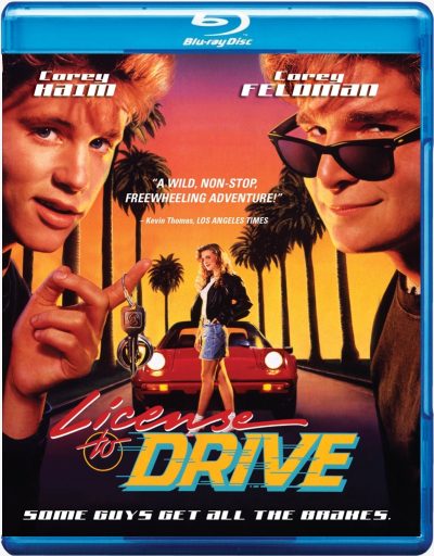 Sem Licença para Dirigir (1988) Blu-ray Dublado Legendado