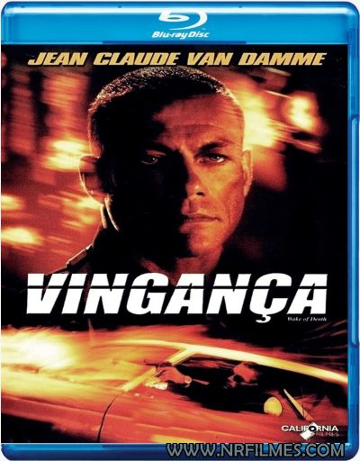 Vingança (2004) Blu-ray Dublado Legendado