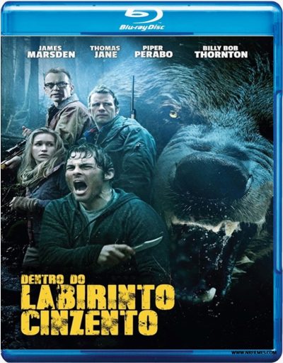 Dentro do Labirinto Cinzento (2015) Blu Ray Dublado Legendado